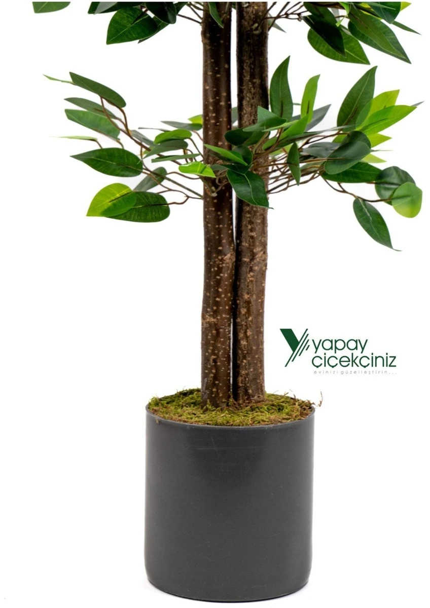 Gri Saksıda 100 cm Yoğun Yapraklı Gerçekçi Yapay Benjamin Ağacı